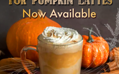 Spice Up Your August! Roggenart’s Pumpkin Paradise Arrives Early (Wink, Wink!)