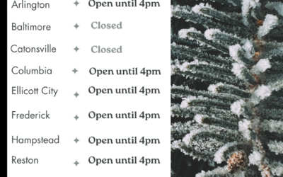 Weathering the Storm Together at Roggenart